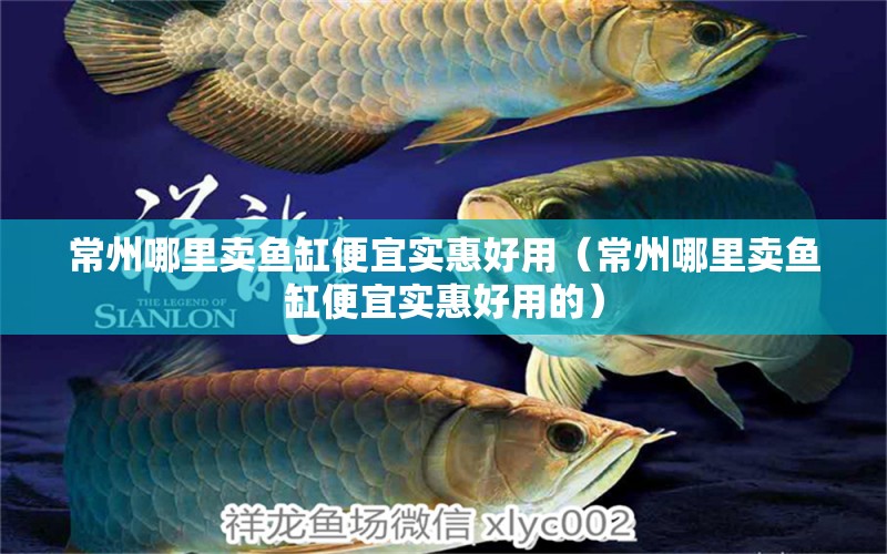 常州哪里賣魚缸便宜實惠好用（常州哪里賣魚缸便宜實惠好用的） 祥龍水族醫(yī)院