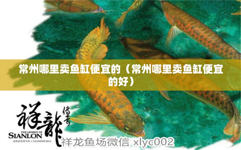 常州哪里賣魚缸便宜的（常州哪里賣魚缸便宜的好）