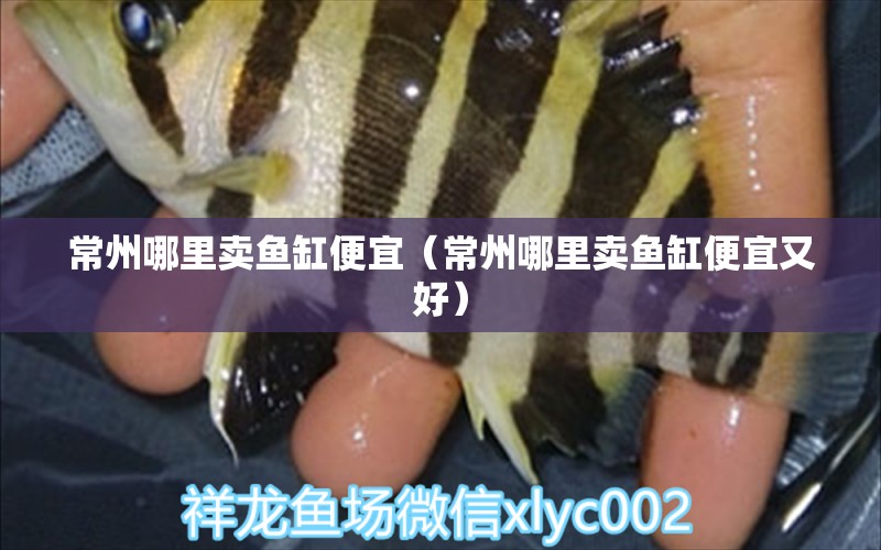 常州哪里賣魚缸便宜（常州哪里賣魚缸便宜又好） 其他品牌魚缸