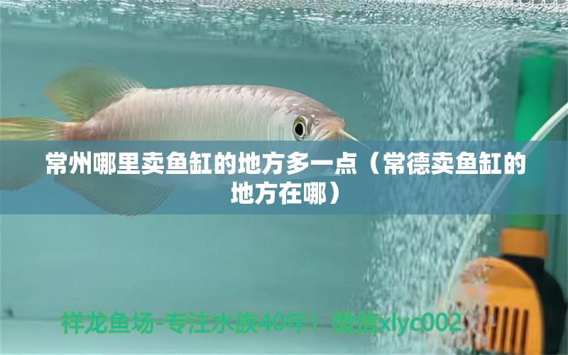 常州哪里賣魚缸的地方多一點（常德賣魚缸的地方在哪） 潛水泵