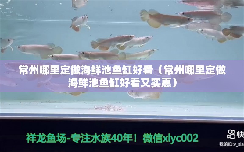 常州哪里定做海鮮池魚缸好看（常州哪里定做海鮮池魚缸好看又實惠） 虎魚魚苗