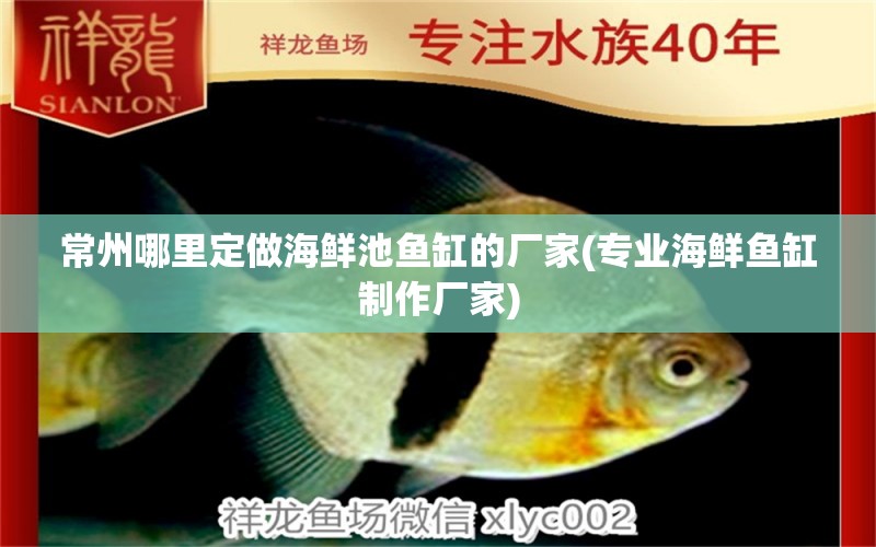 常州哪里定做海鮮池魚缸的廠家(專業(yè)海鮮魚缸制作廠家) 蘇虎苗（蘇門答臘虎魚苗）