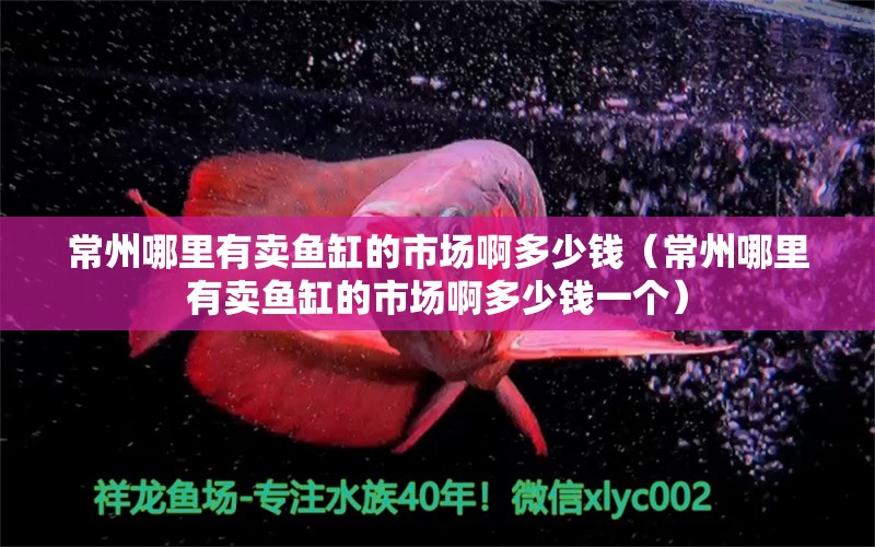 常州哪里有賣魚缸的市場(chǎng)啊多少錢（常州哪里有賣魚缸的市場(chǎng)啊多少錢一個(gè)） 祥龍水族醫(yī)院