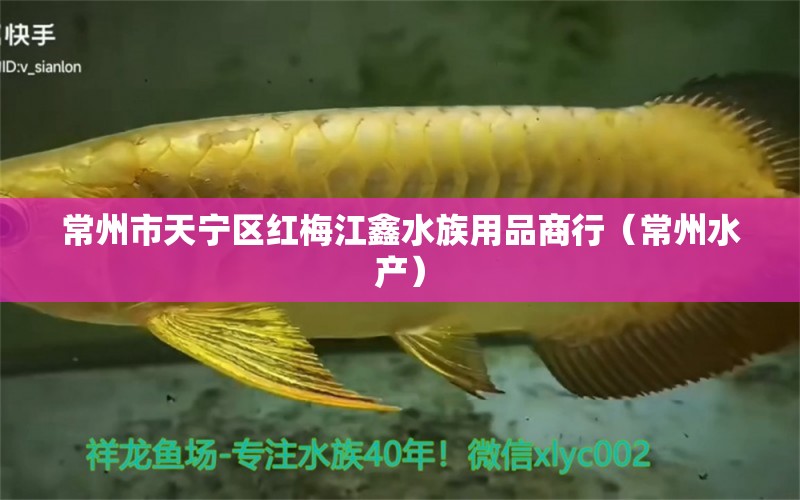 常州市天寧區(qū)紅梅江鑫水族用品商行（常州水產(chǎn)） 水族用品