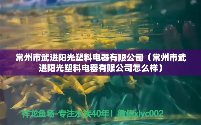 常州市武進(jìn)陽光塑料電器有限公司（常州市武進(jìn)陽光塑料電器有限公司怎么樣） 全國(guó)水族館企業(yè)名錄