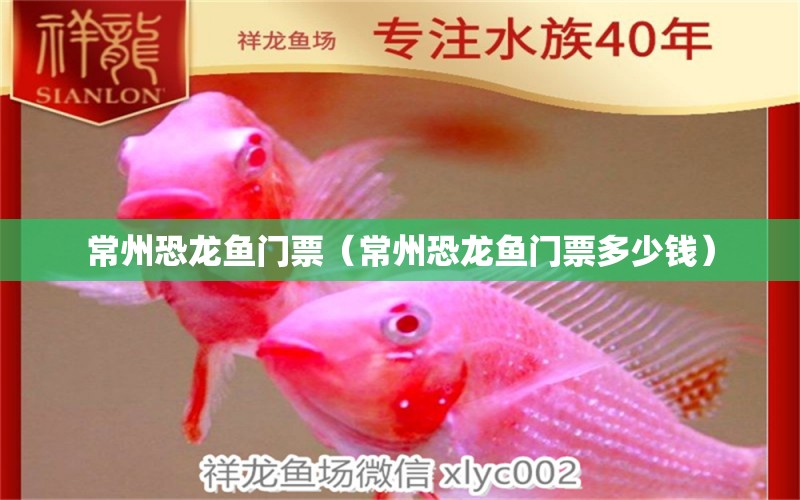 常州恐龍魚(yú)門(mén)票（常州恐龍魚(yú)門(mén)票多少錢(qián)）