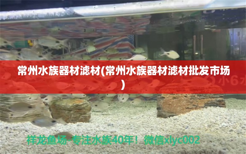 常州水族器材濾材(常州水族器材濾材批發(fā)市場)