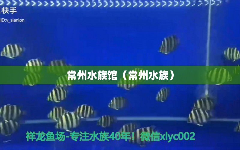 常州水族館（常州水族）