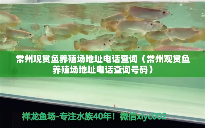 常州觀賞魚養(yǎng)殖場(chǎng)地址電話查詢（常州觀賞魚養(yǎng)殖場(chǎng)地址電話查詢號(hào)碼）