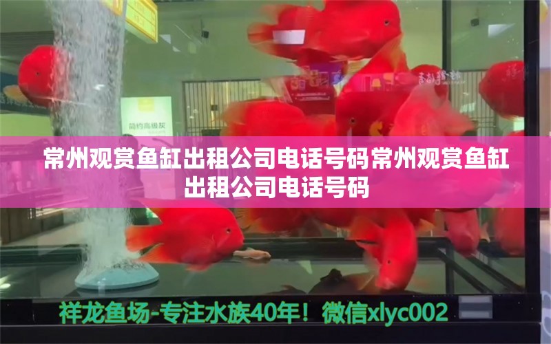 常州觀賞魚缸出租公司電話號碼常州觀賞魚缸出租公司電話號碼 祥龍水族濾材/器材