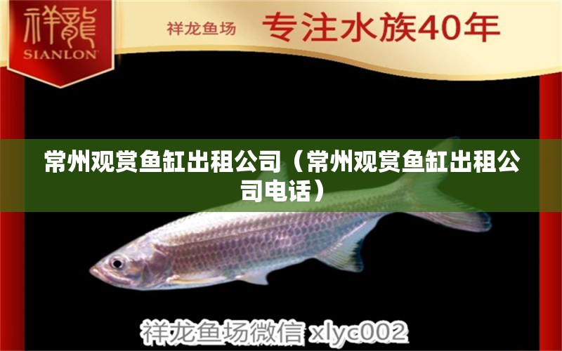 常州觀賞魚缸出租公司（常州觀賞魚缸出租公司電話）