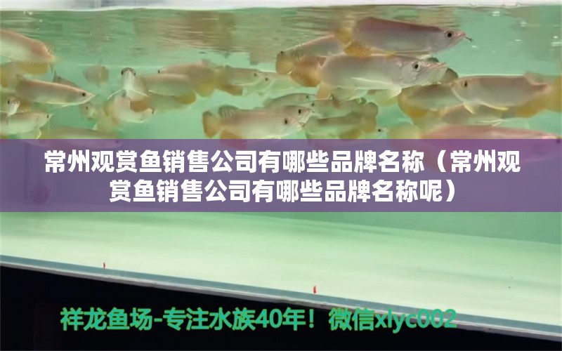 常州觀賞魚銷售公司有哪些品牌名稱（常州觀賞魚銷售公司有哪些品牌名稱呢）