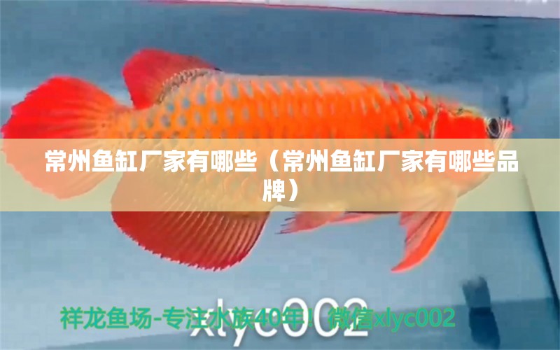 常州魚(yú)缸廠家有哪些（常州魚(yú)缸廠家有哪些品牌）