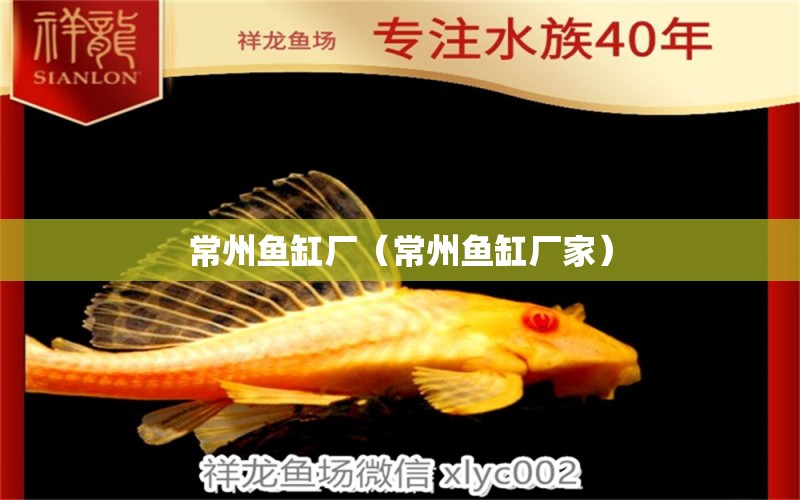 常州魚缸廠（常州魚缸廠家）