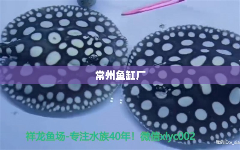 常州魚缸廠 其他品牌魚缸