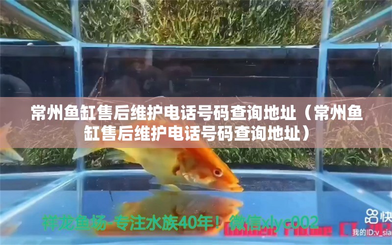 常州魚缸售后維護(hù)電話號(hào)碼查詢地址（常州魚缸售后維護(hù)電話號(hào)碼查詢地址） 其他品牌魚缸