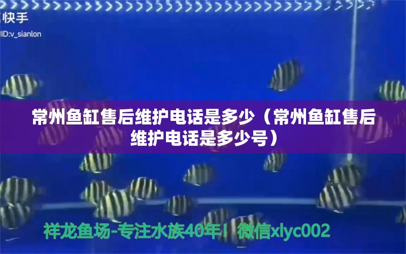 常州魚缸售后維護電話是多少（常州魚缸售后維護電話是多少號） 其他品牌魚缸