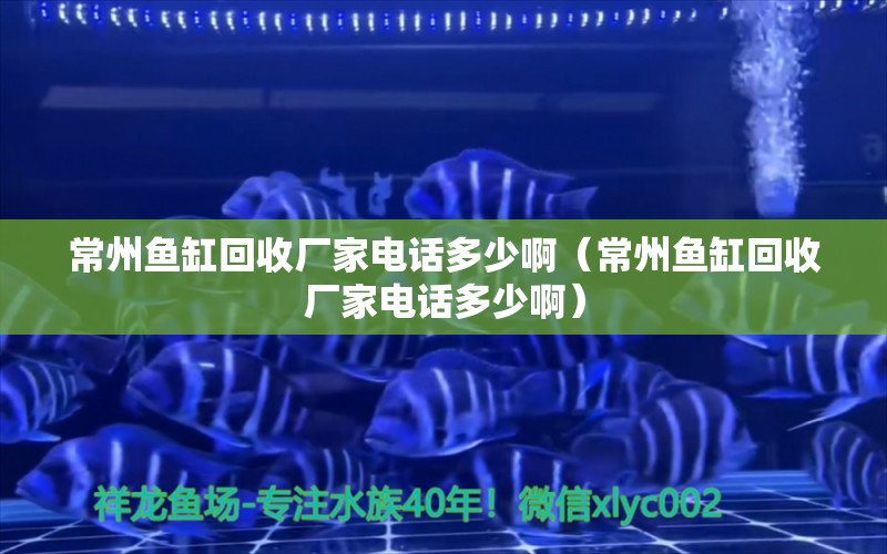 常州魚缸回收廠家電話多少?。ǔＶ蒴~缸回收廠家電話多少?。?觀賞魚市場（混養(yǎng)魚）