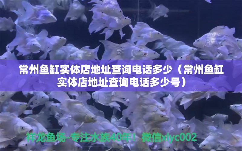 常州魚缸實(shí)體店地址查詢電話多少（常州魚缸實(shí)體店地址查詢電話多少號(hào)）