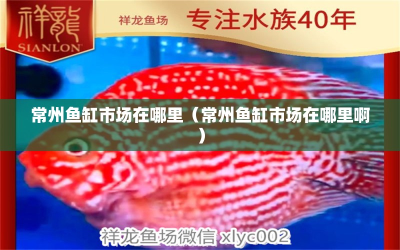 常州魚(yú)缸市場(chǎng)在哪里（常州魚(yú)缸市場(chǎng)在哪里?。?其他品牌魚(yú)缸