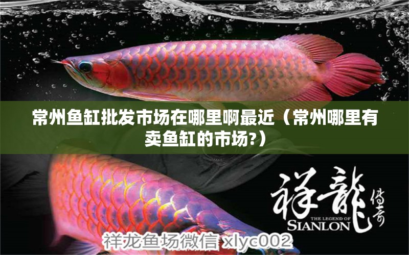 常州魚缸批發(fā)市場在哪里啊最近（常州哪里有賣魚缸的市場?）