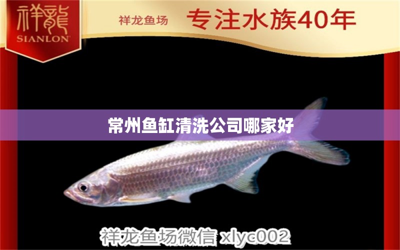 常州魚缸清洗公司哪家好