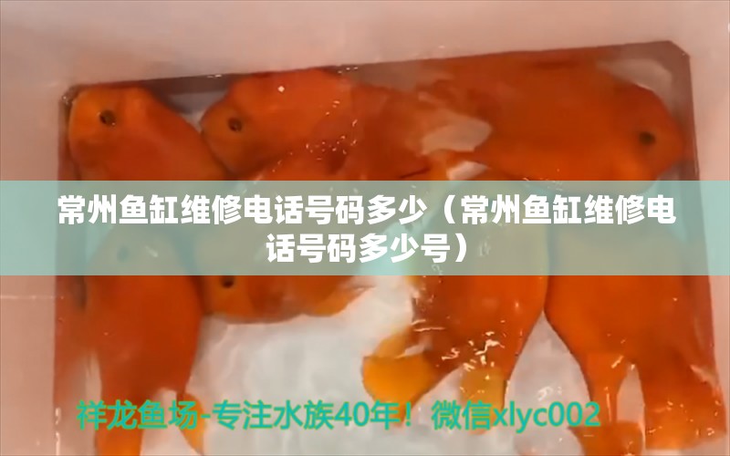 常州魚缸維修電話號碼多少（常州魚缸維修電話號碼多少號）