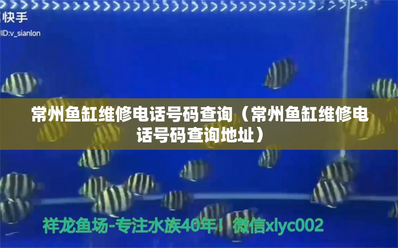 常州魚缸維修電話號碼查詢（常州魚缸維修電話號碼查詢地址）