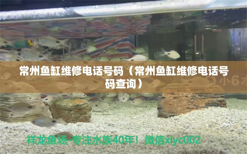 常州魚缸維修電話號碼（常州魚缸維修電話號碼查詢） 其他品牌魚缸