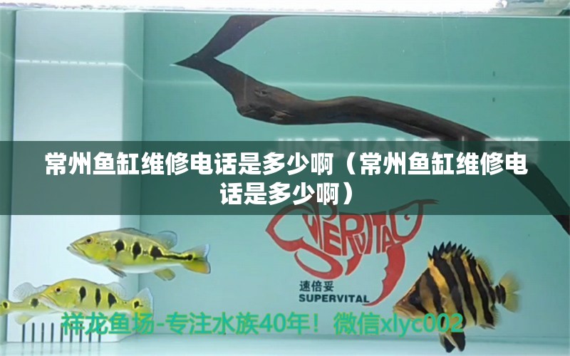 常州魚缸維修電話是多少?。ǔＶ蒴~缸維修電話是多少?。? title=