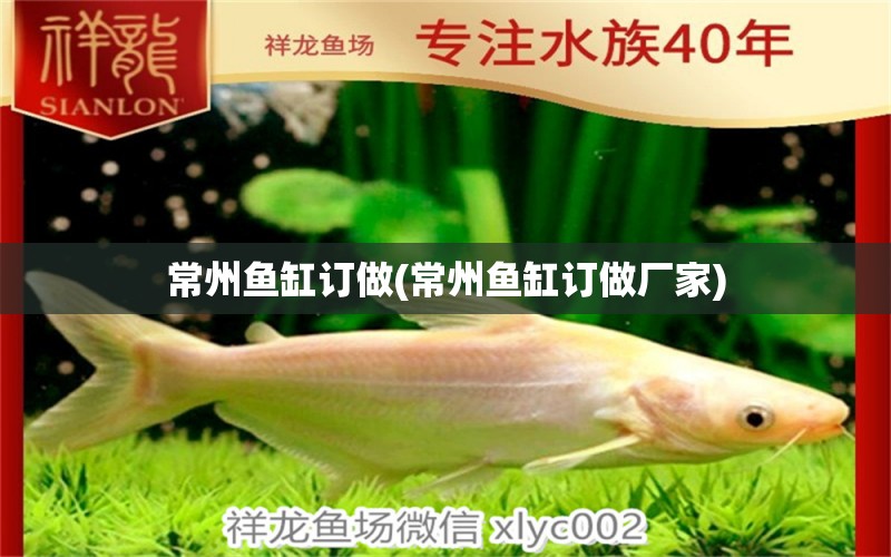 常州魚(yú)缸訂做(常州魚(yú)缸訂做廠家)