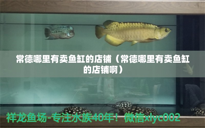 常德哪里有賣魚缸的店鋪（常德哪里有賣魚缸的店鋪?。?其他品牌魚缸