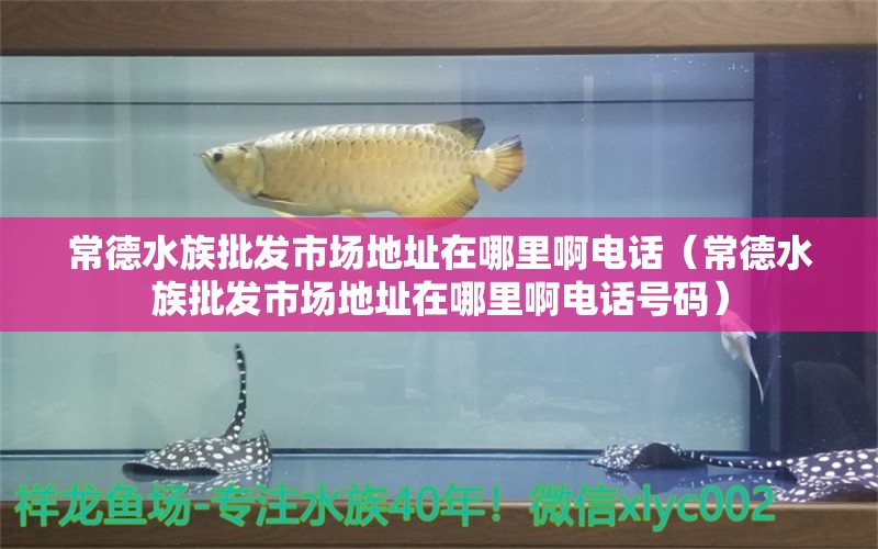 常德水族批發(fā)市場地址在哪里啊電話（常德水族批發(fā)市場地址在哪里啊電話號(hào)碼）