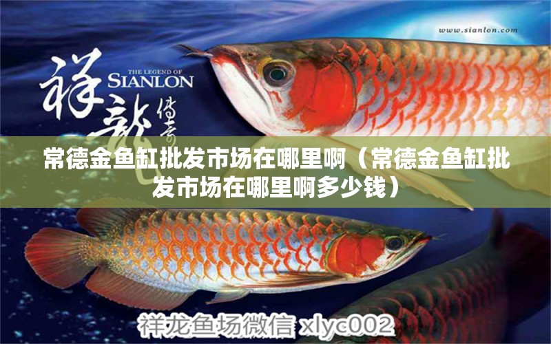 常德金魚缸批發(fā)市場(chǎng)在哪里啊（常德金魚缸批發(fā)市場(chǎng)在哪里啊多少錢） 其他品牌魚缸