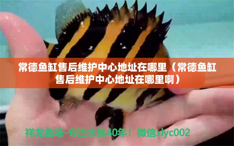 常德魚缸售后維護(hù)中心地址在哪里（常德魚缸售后維護(hù)中心地址在哪里?。?其他品牌魚缸