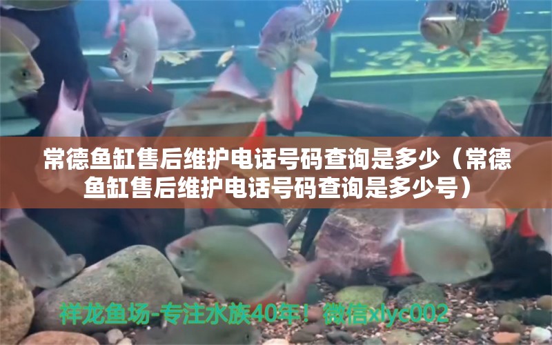 常德魚缸售后維護電話號碼查詢是多少（常德魚缸售后維護電話號碼查詢是多少號）