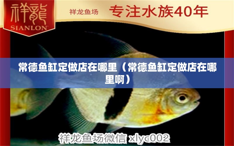 常德魚缸定做店在哪里（常德魚缸定做店在哪里?。? title=