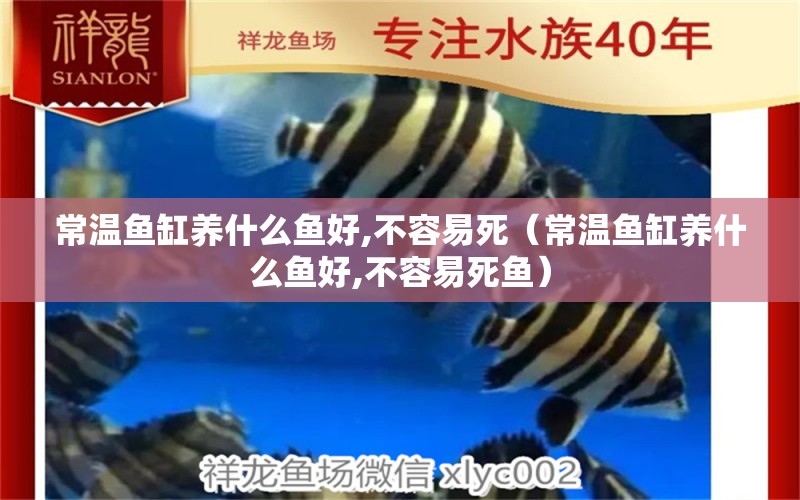 常溫魚缸養(yǎng)什么魚好,不容易死（常溫魚缸養(yǎng)什么魚好,不容易死魚）