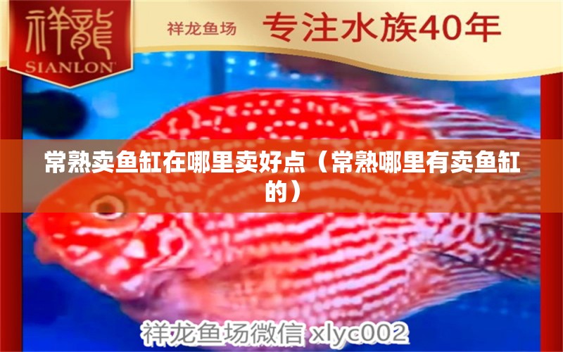 常熟賣魚缸在哪里賣好點（常熟哪里有賣魚缸的） 養(yǎng)魚的好處