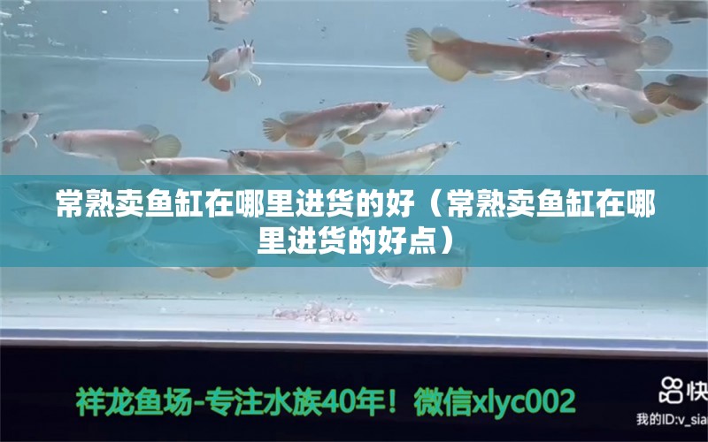 常熟賣魚缸在哪里進(jìn)貨的好（常熟賣魚缸在哪里進(jìn)貨的好點）