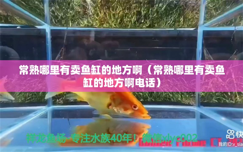 常熟哪里有賣魚(yú)缸的地方?。ǔＪ炷睦镉匈u魚(yú)缸的地方啊電話）