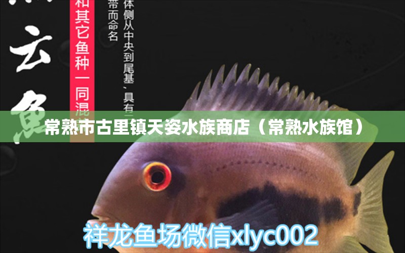 常熟市古里鎮(zhèn)天姿水族商店（常熟水族館） 全國水族館企業(yè)名錄