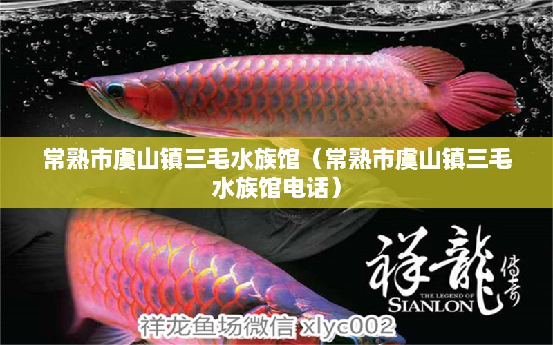 常熟市虞山鎮(zhèn)三毛水族館（常熟市虞山鎮(zhèn)三毛水族館電話） 全國水族館企業(yè)名錄