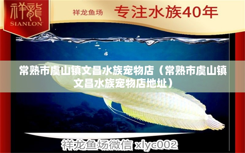 常熟市虞山鎮(zhèn)文昌水族寵物店（常熟市虞山鎮(zhèn)文昌水族寵物店地址）