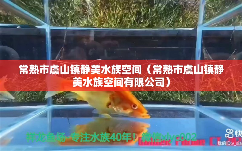 常熟市虞山鎮(zhèn)靜美水族空間（常熟市虞山鎮(zhèn)靜美水族空間有限公司）