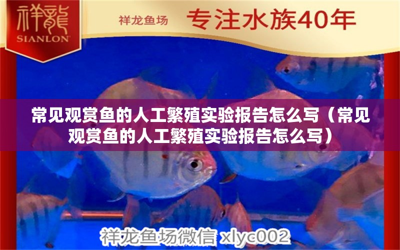 常見(jiàn)觀賞魚的人工繁殖實(shí)驗(yàn)報(bào)告怎么寫（常見(jiàn)觀賞魚的人工繁殖實(shí)驗(yàn)報(bào)告怎么寫）