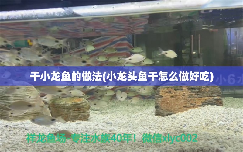 干小龍魚的做法(小龍頭魚干怎么做好吃) 觀賞蝦蟹等飼料