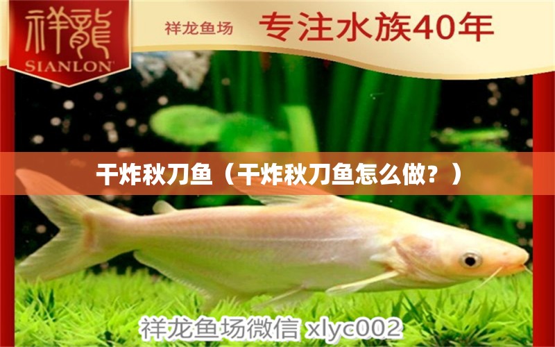 干炸秋刀魚（干炸秋刀魚怎么做？） 非洲象鼻魚 第2張