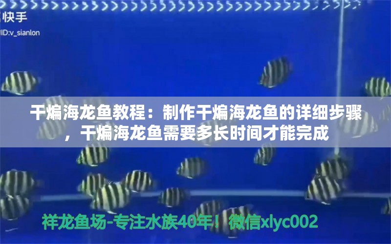 干煸海龍魚教程：制作干煸海龍魚的詳細(xì)步驟，干煸海龍魚需要多長(zhǎng)時(shí)間才能完成 水族問(wèn)答 第2張