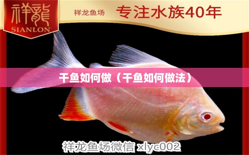 干魚如何做（干魚如何做法） 野生埃及神仙魚 第1張